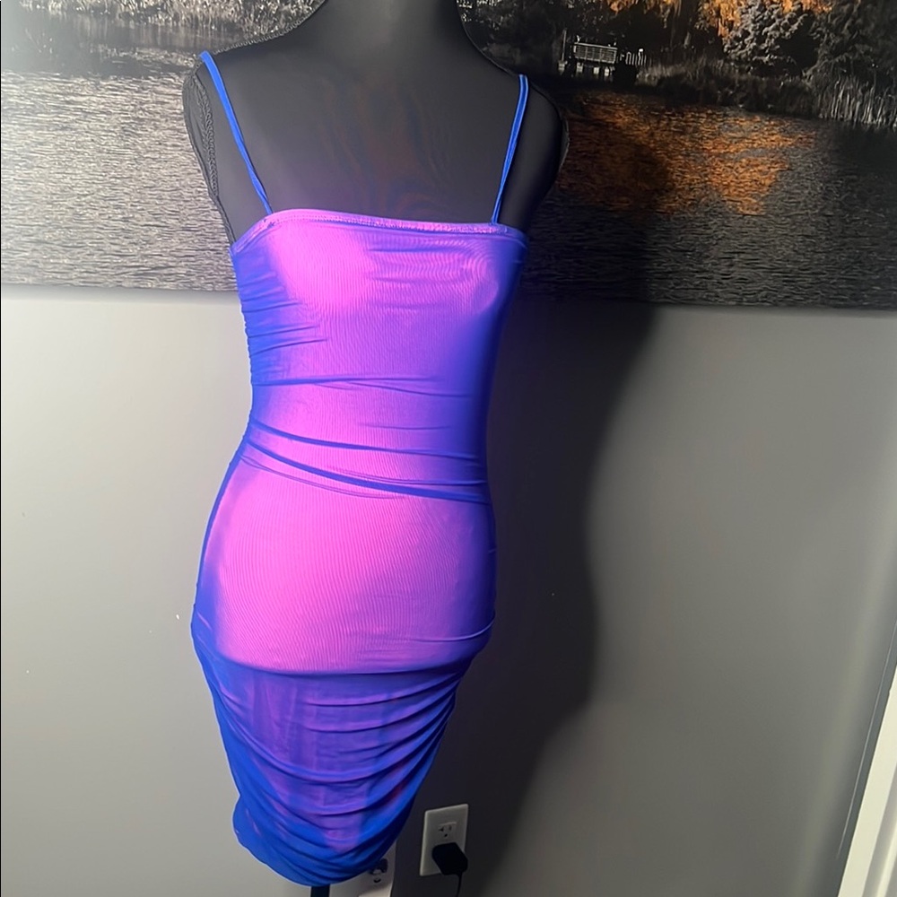 Private Label Pink and Blue Ruched Bodycon Mini Dress